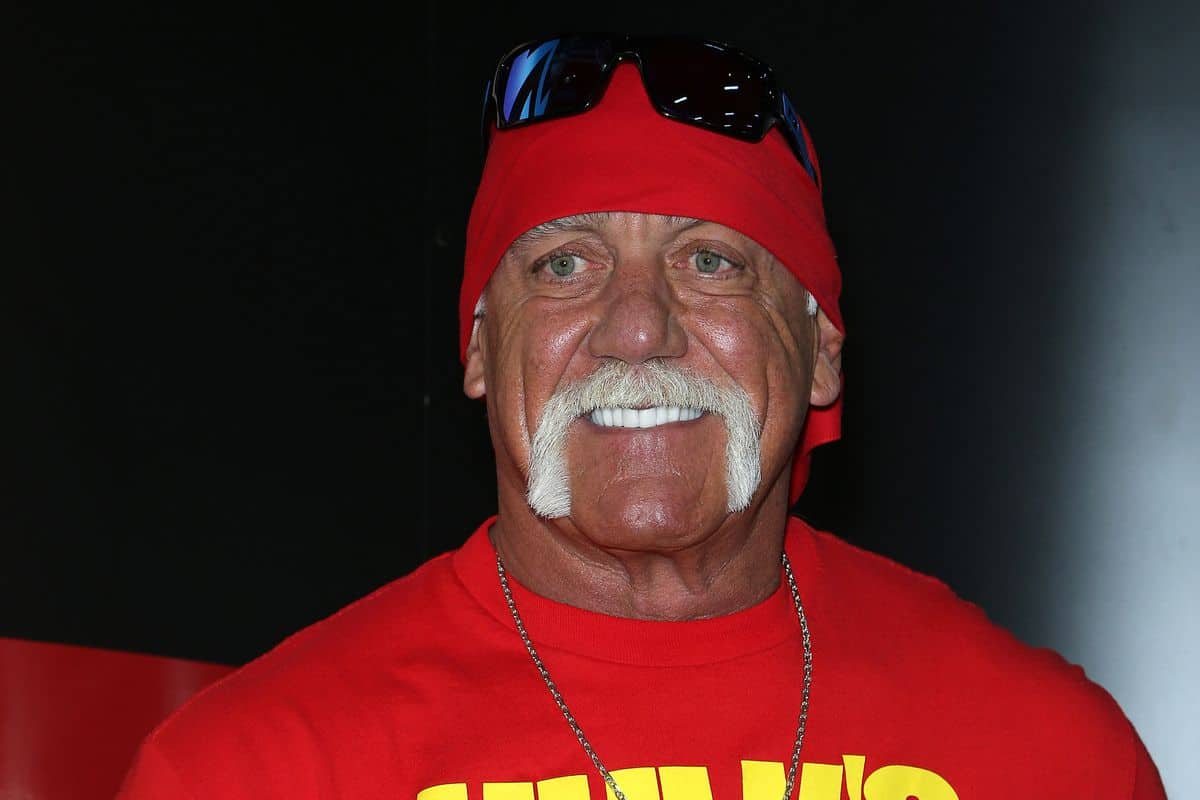 Hulk Hogan net worth