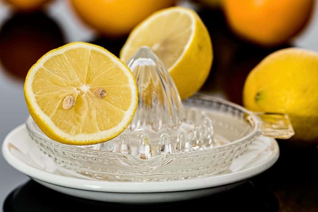 lemon squeezer lemon juice citrus citric acid 39587