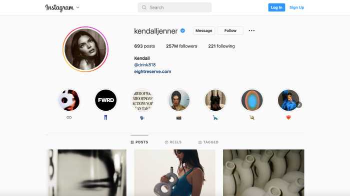 Kendall Jenner's massive following on Instagram contributes heavily to her net worth