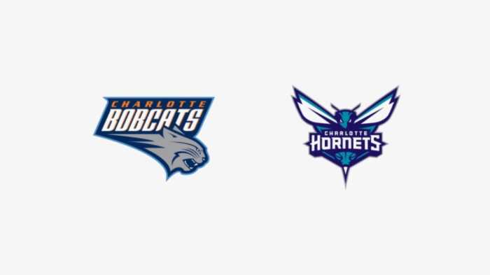 The Charlotte Hornets were initially the The Charlotte Bobcats when Michael Jordan purchased the team