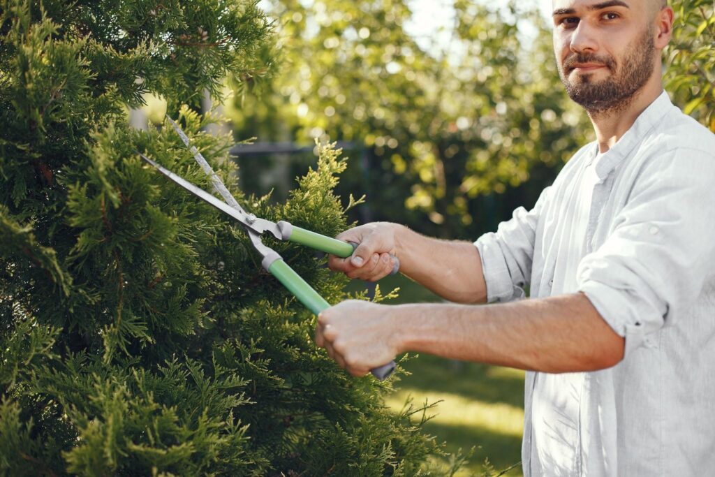 Sustainable lawn management