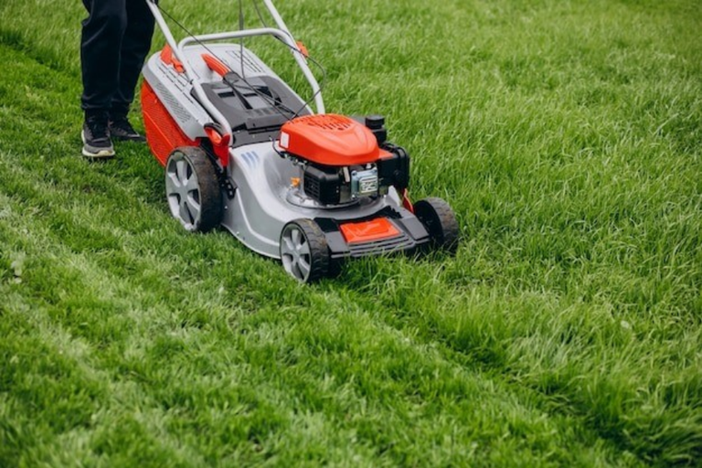 Soil Conditions Affect Grass Growth and Lawn Health
